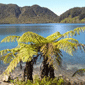 Blue Lake Nova Zelanda